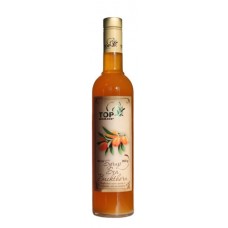 Сироп Top Sirop «Обліпиха» 900мл