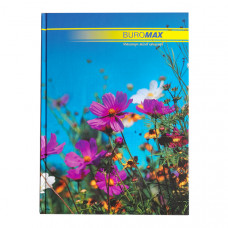 Книга обліку А4 (96 аркушів)